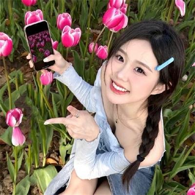 朵儿的战争